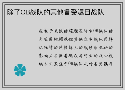 除了OB战队的其他备受瞩目战队